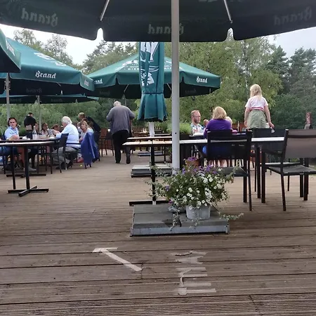 In Near Hoge Veluwe Park *