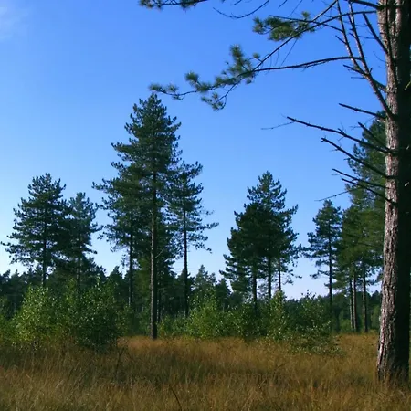 In Near Hoge Veluwe Park * Beekbergen