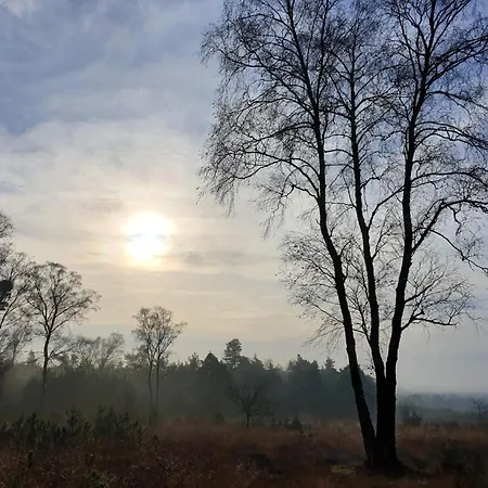 In Near Hoge Veluwe Park Beekbergen