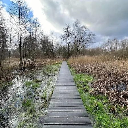 In Near Hoge Veluwe Park *