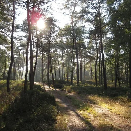 In Near Hoge Veluwe Park Chalet *
