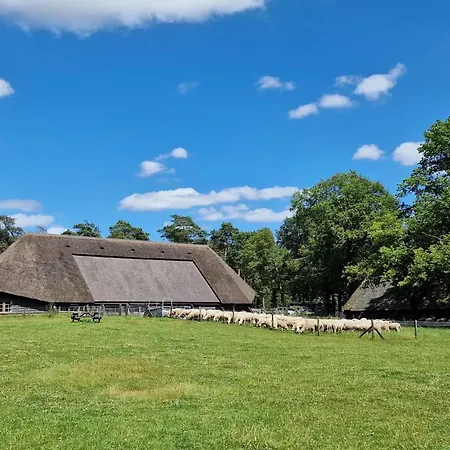 Chalet In Near Hoge Veluwe Park