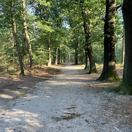 In Near Hoge Veluwe Park Chalet Beekbergen